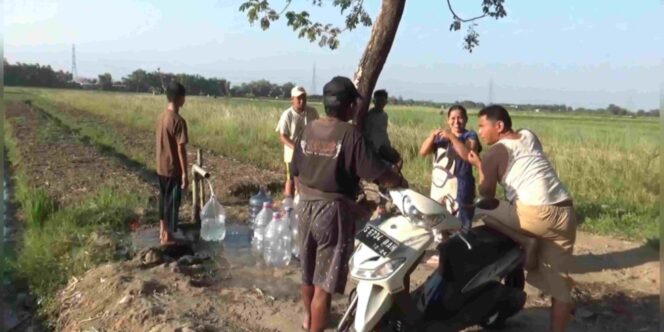 
					Warga Sukomoro Nganjuk Ramai-ramai Berburu Air Bersih Siap Minum di Area Persawahan